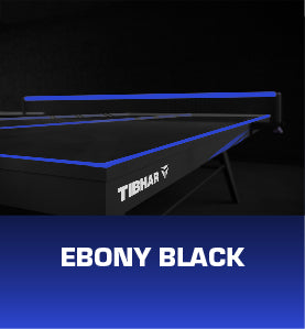 1800 Professional Table + 4.5mm Flooring + Net
