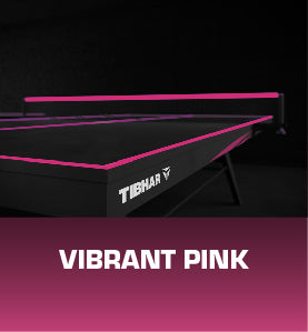 1800 Professional Table + 4.5mm Flooring + Net